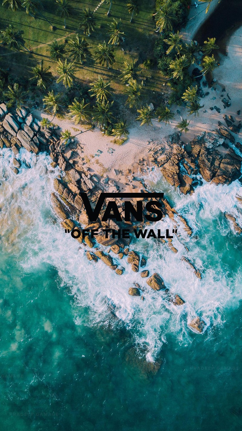 Логотип vans off the wall на каменистом пляже с пальмами (пляж, бренды, логотипы, природа, тропический)