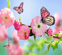 butterflies, flowers, green, nature, pink wallpaper