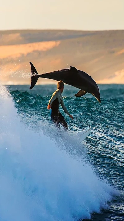 Surfer und Delfin tanzen über den Wellen