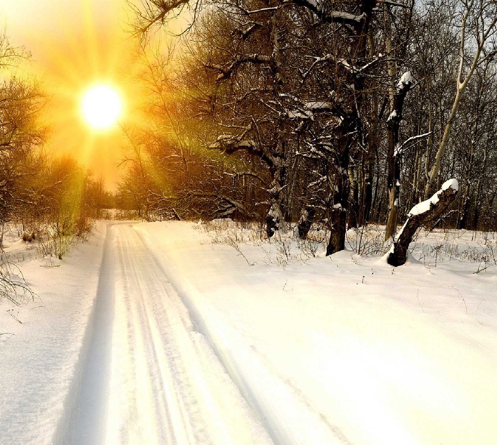 Arafed snow covered road with trees and snow covered ground (winter)