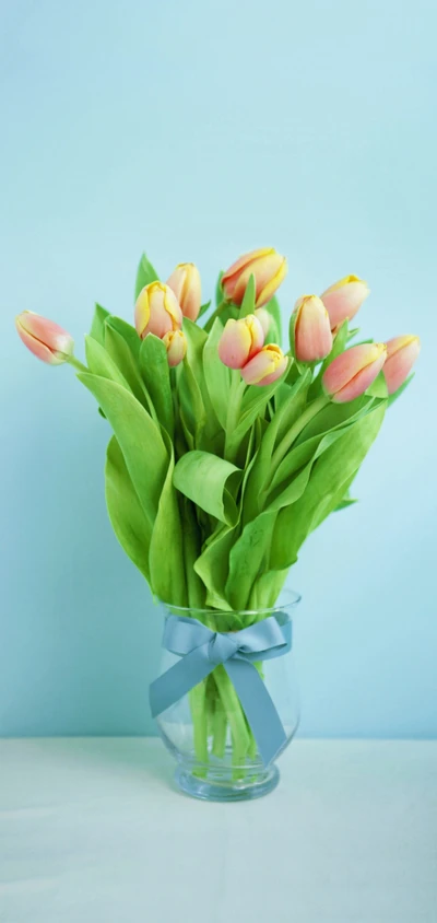 Fresh pink and yellow tulips in a clear vase with a blue ribbon against a soft blue background.