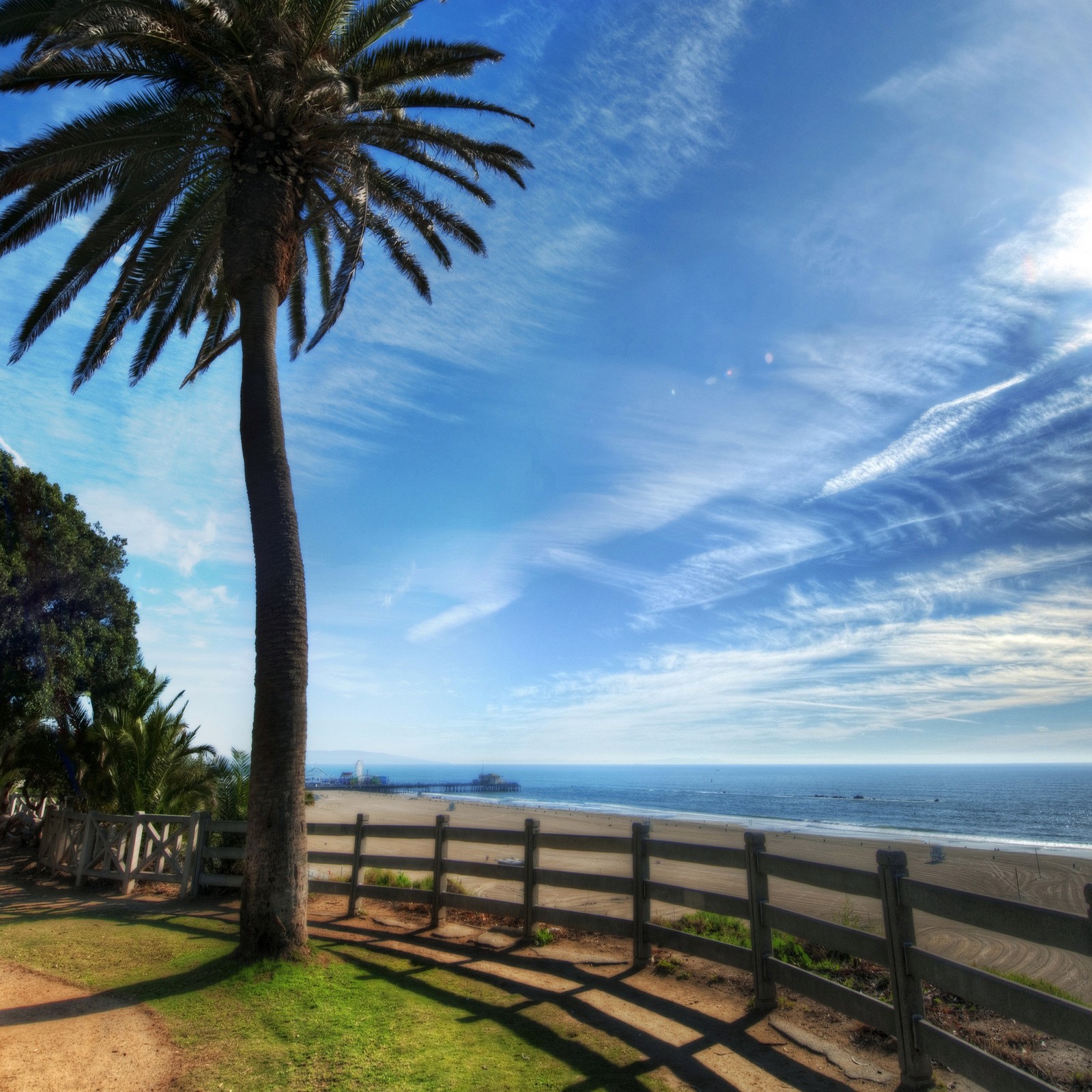 Palmera árabe en una playa con una cerca y una playa de fondo (playa, hermoso, nubes, genial, naturaleza)