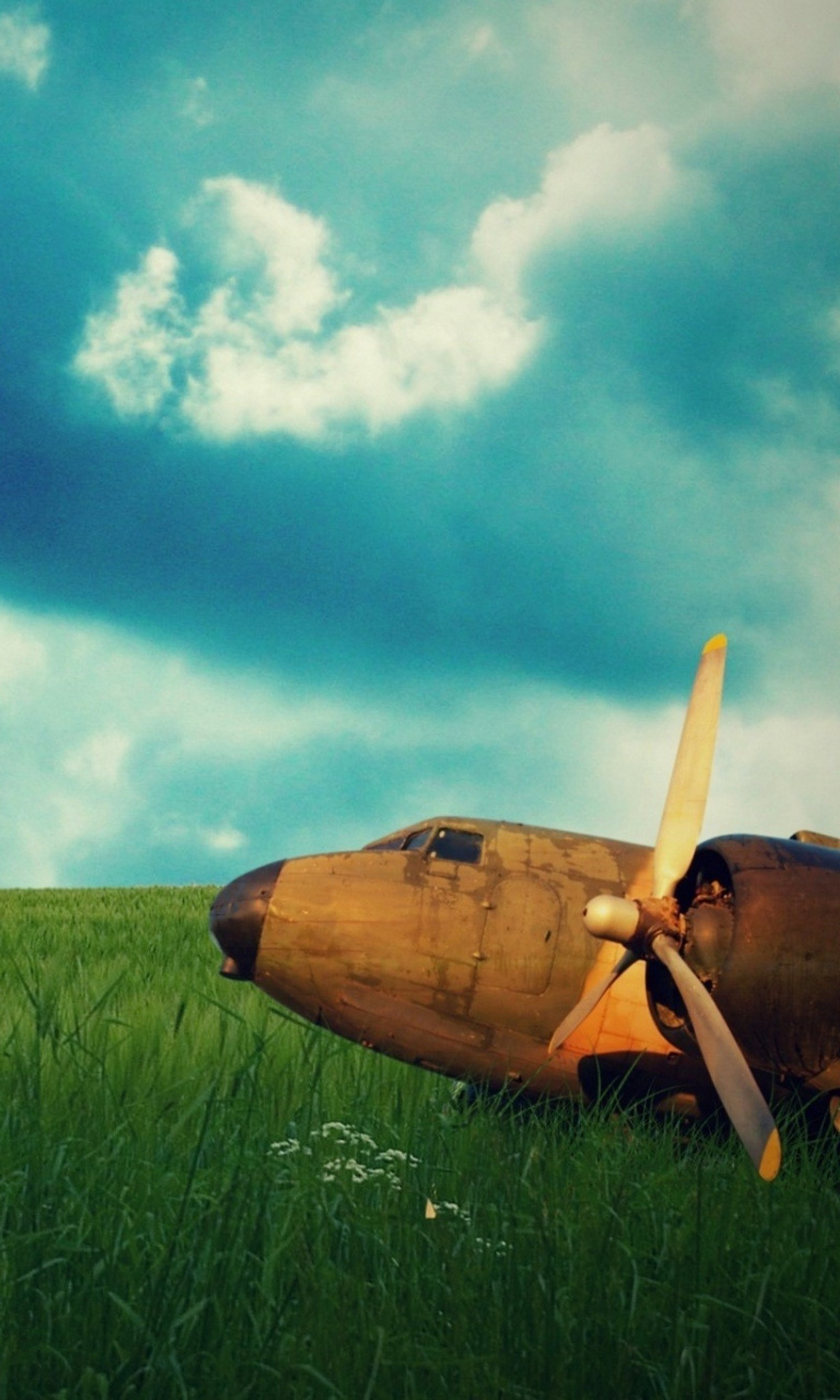 Il y a un petit avion assis dans l'herbe (nature, avion, rouillé)