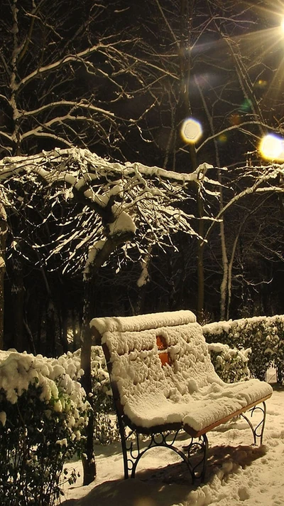 Banca cubierta de nieve serena bajo el cielo nocturno