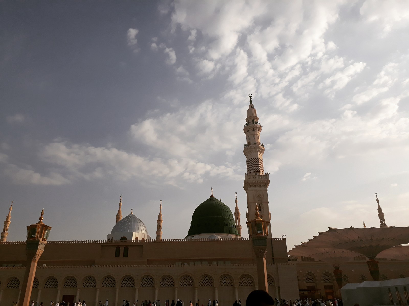 Giraffen vor einem großen gebäude mit einer grünen kuppel (madina, roza e rasool saww)