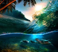 Turtles Swimming Beneath Waves at Sunset on a Tropical Beach