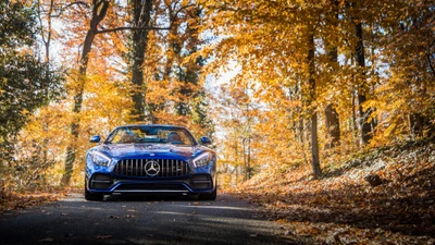 Un llamativo coche deportivo Mercedes azul está estacionado en un sereno camino otoñal rodeado de vibrante follaje de otoño.