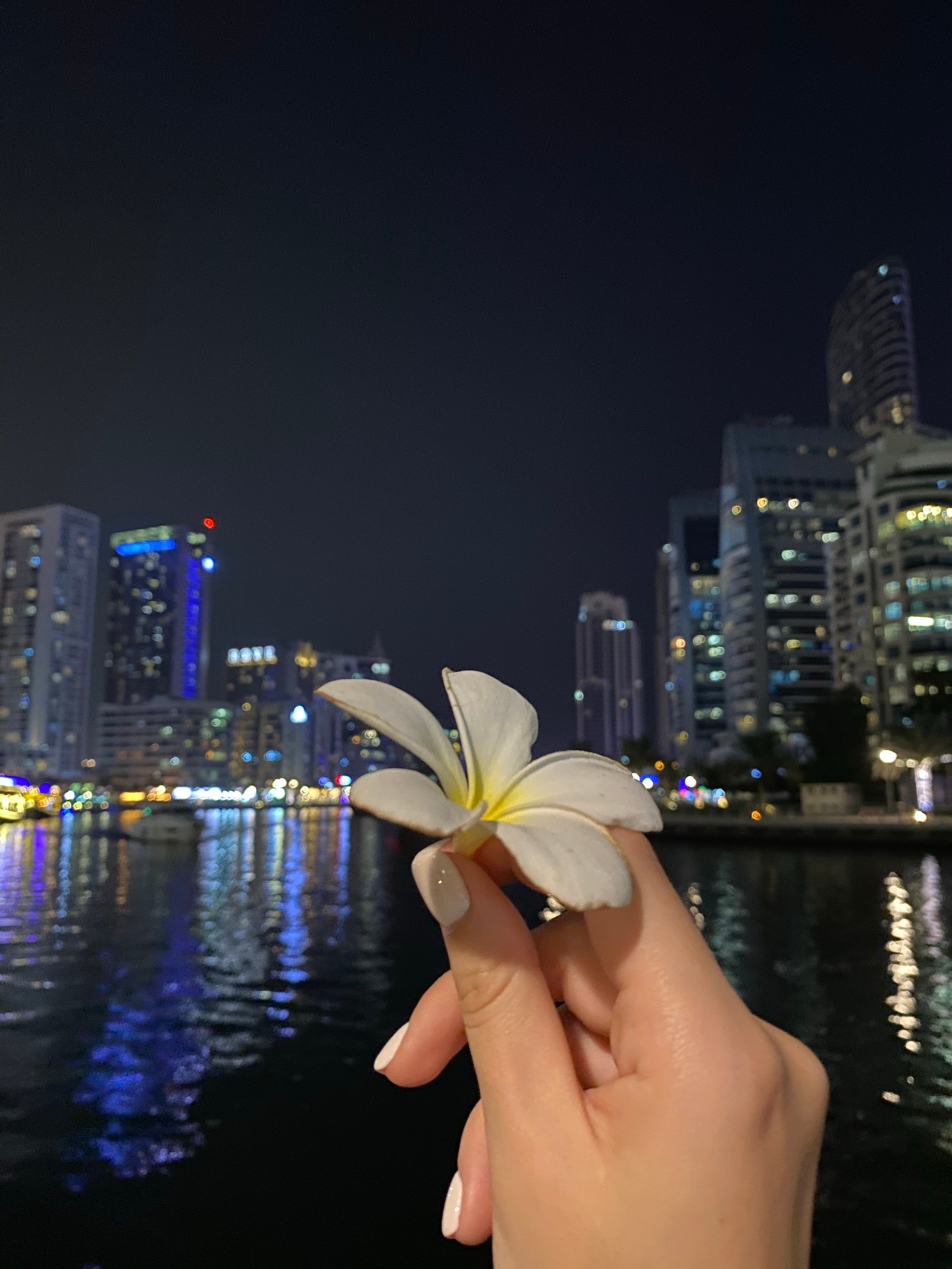 Alguém segurando uma flor na mão perto de um corpo d'água (reflexo, água, dedo, pétala, noite)