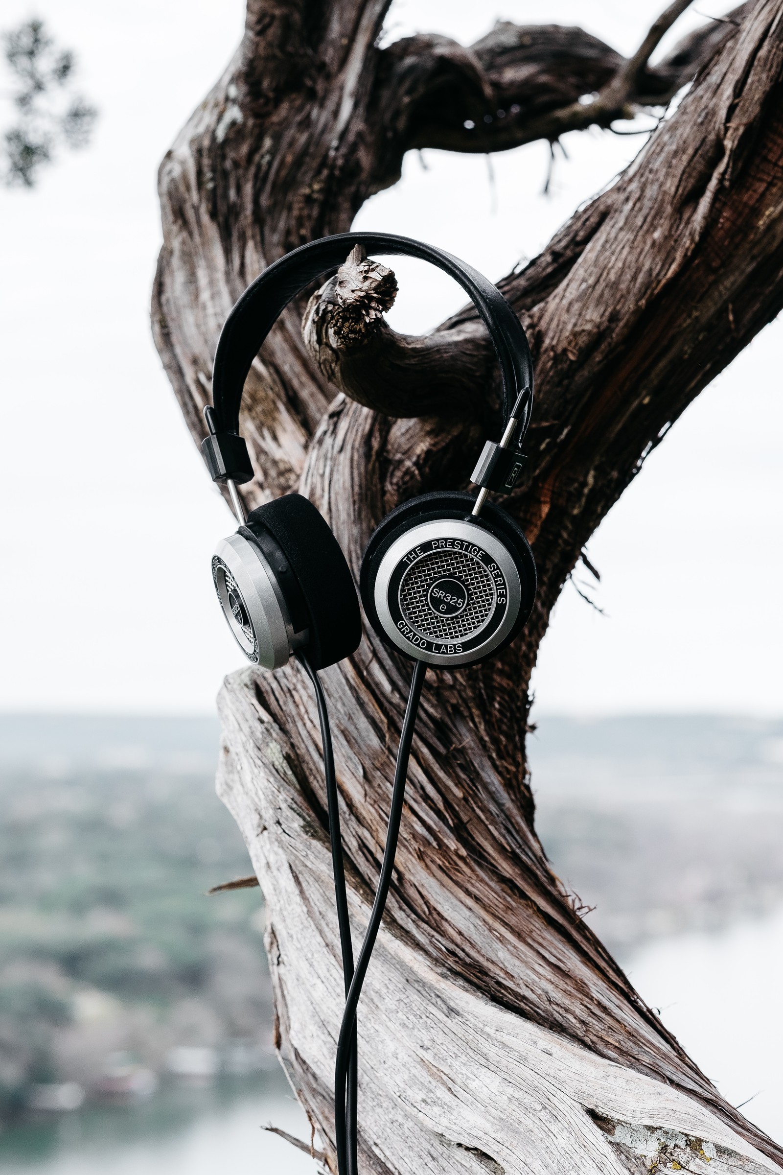 Hay unos auriculares sentados en una rama de árbol (neumático, auriculares, rueda, drama, equipo de audio)