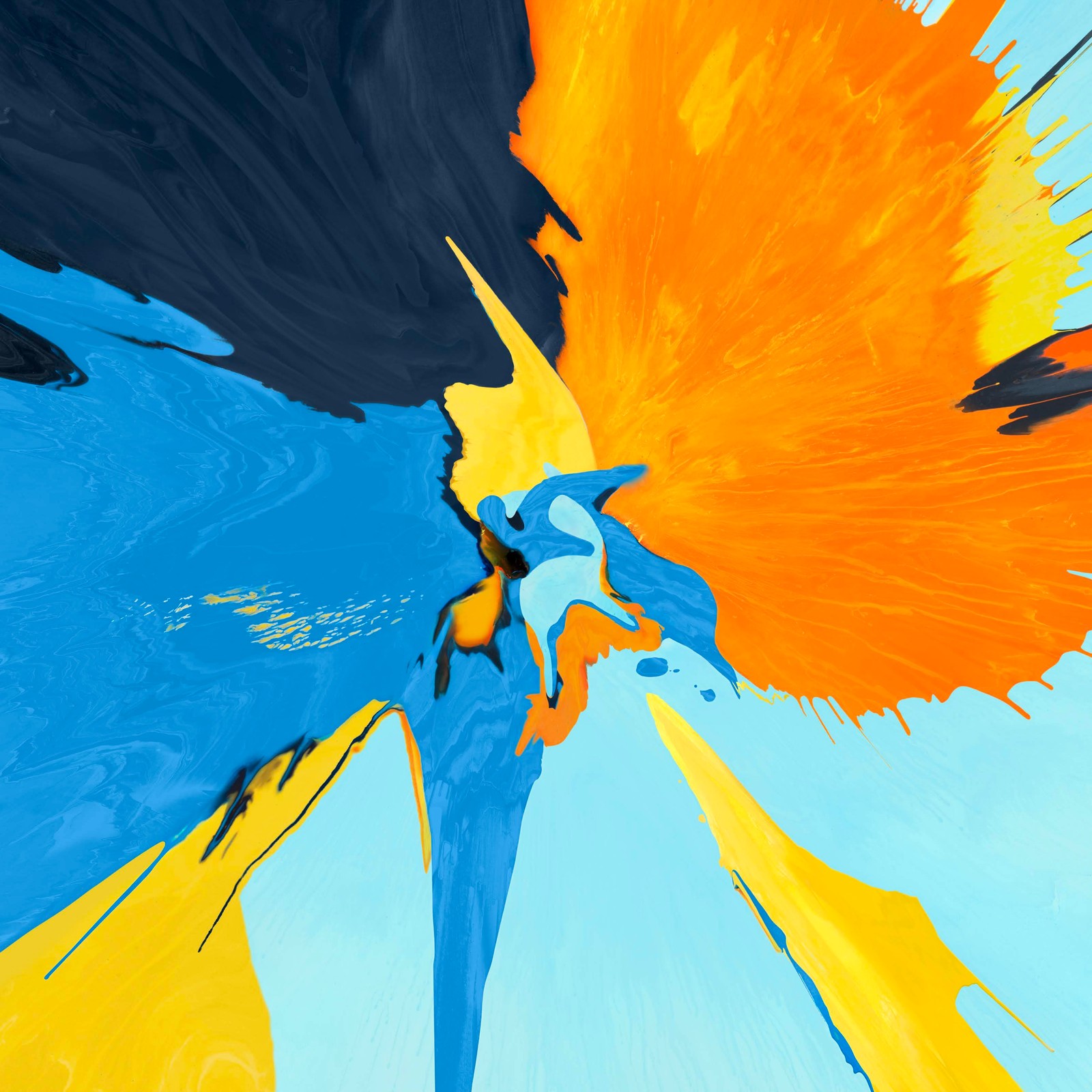 A close up of a painting of a bird with a blue and yellow background (ipad, ipad pro, apple, ipad pro 2018, apples)