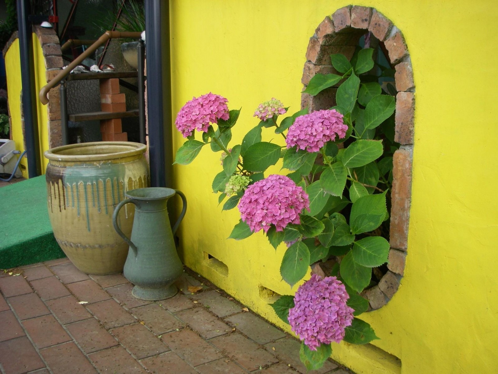 wall, hydrangea, garden, flowering plant, yellow wallpaper