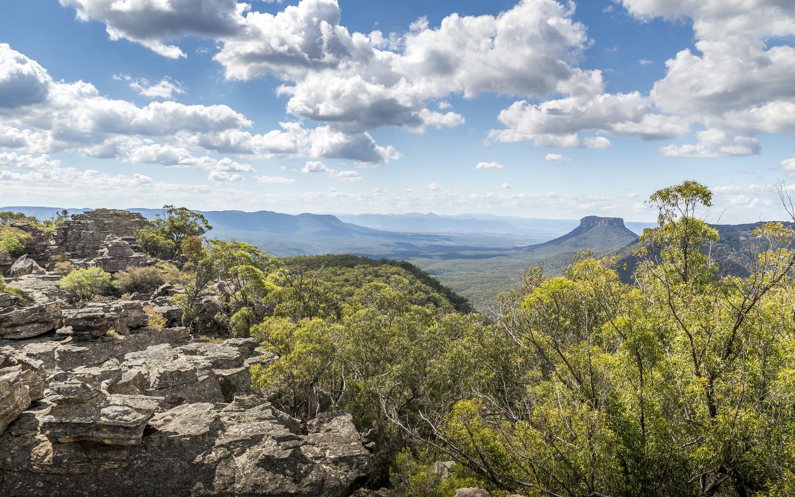 A view of the blue mountains from the top of a mountain (vegetation, mountain, wilderness, nature reserve, mount scenery)