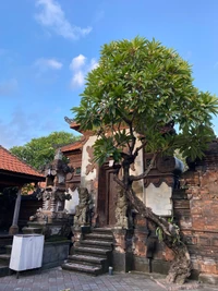 Templo antigo cercado por árvores exuberantes e degraus de pedra em Bali