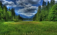 Serene Meadow Surrounded by Lush Forest and Majestic Mountains