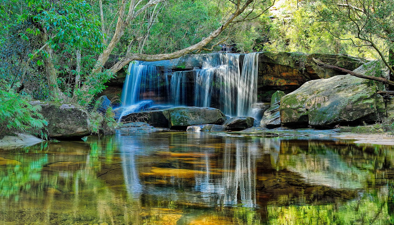 A close up of a waterfall in a forest with rocks and trees (body of water, waterfall, water resources, nature, water)