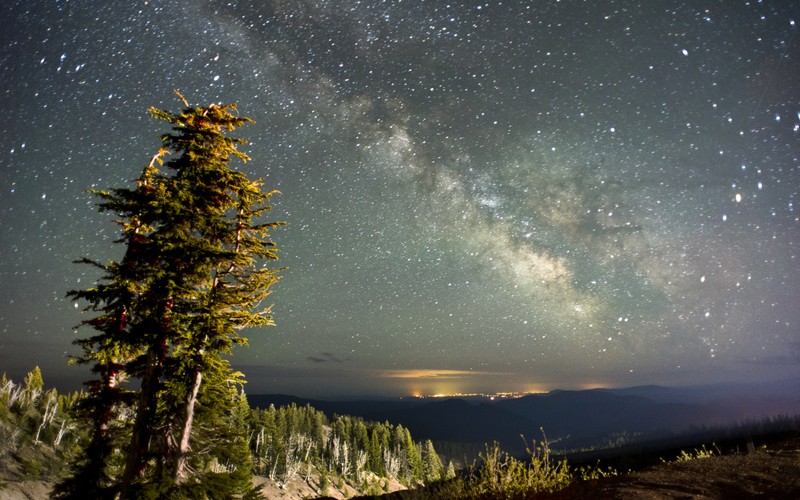 Uma árvore em uma montanha com a via láctea ao fundo (céu noturno, estrela, noite, natureza, árvore)