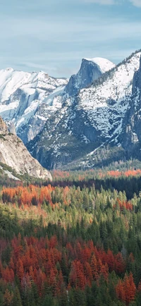 yosemite national park, shenandoah national park, national park, rocky mountain national park, park wallpaper