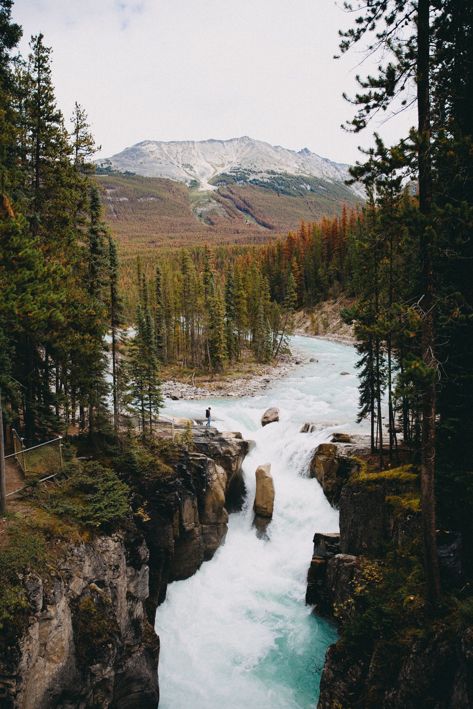 There is a man standing on a rock next to a river (natural environment, body of water, nature, natural landscape, wilderness)