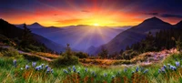 Vibrant Sunset Over Highland Wilderness with Wildflowers