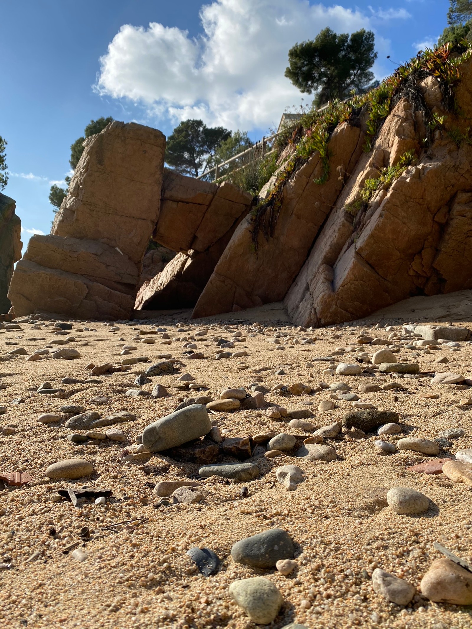 Il y a une formation rocheuse sur la plage avec des pierres et des plantes (affleurement, roche, socle, formation, géologie)