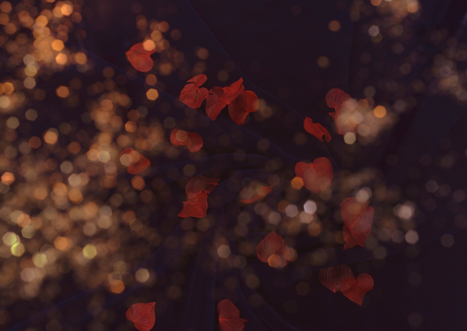 Hay una imagen borrosa de un árbol con hojas rojas (rojo, noche, luz solar, cartel, joyas)