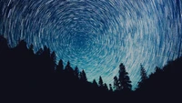 Starry Night Sky Over Forested Landscape