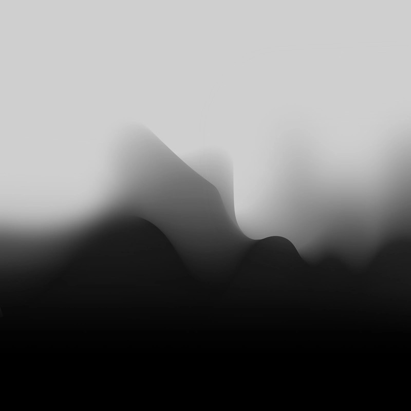 There is a black and white photo of a mountain with a bird flying by (smartphone, cloud, atmosphere, fog, grey)