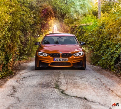 BMW M3: Poder se encuentra con la naturaleza en un camino rústico