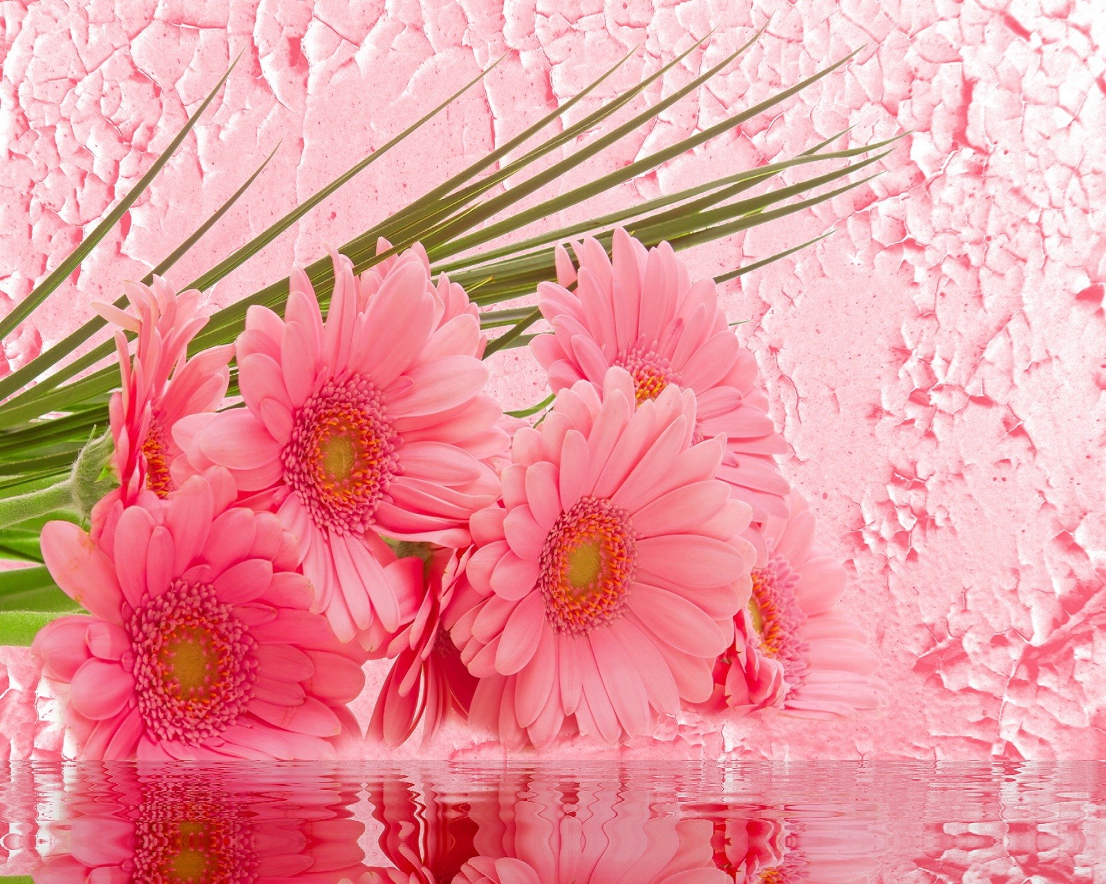 Lade blumen, gerbera Hintergrund herunter