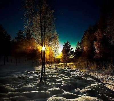 Gelassenes Winterlandschaft bei Sonnenaufgang