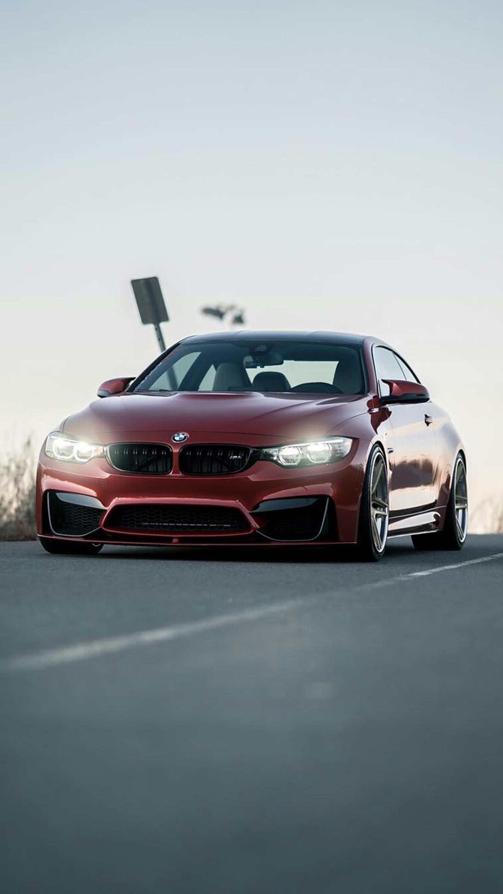 auto, bmw, car, coupe, f82 wallpaper