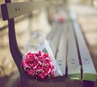 Bouquet de œillets roses sur un banc de parc