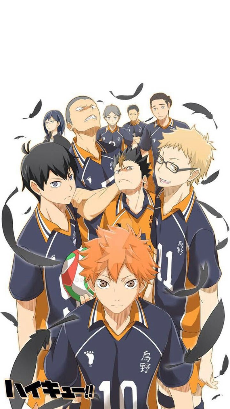 Обои баскетбольной команды хайки (карасуно, karasuno, volleyball team)