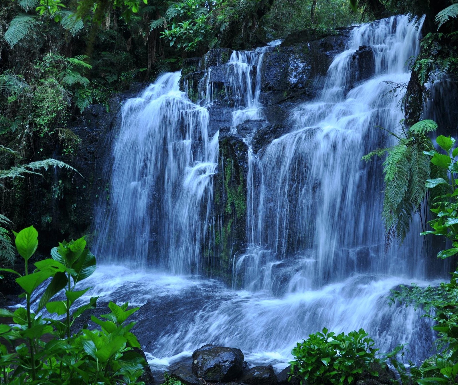 Uma cachoeira na selva com muita água fluindo (natureza, cenário, cachoeiras)