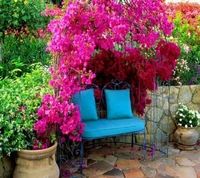 Romantische Gartenecke umgeben von lebhaften Bougainvillea