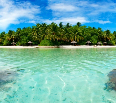 plage, île, océan, mer, arbres