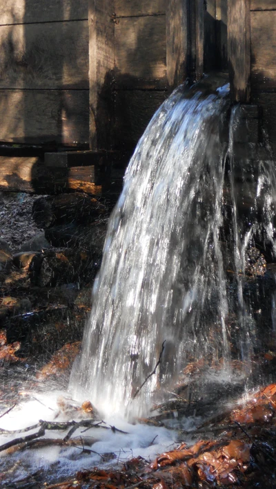 naturaleza, agua, cascada