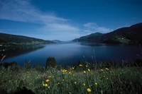 Lac de montagne serein avec des fleurs sauvages vibrantes sous un ciel dégagé