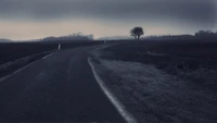 road, black, horizon, cloud, tree wallpaper