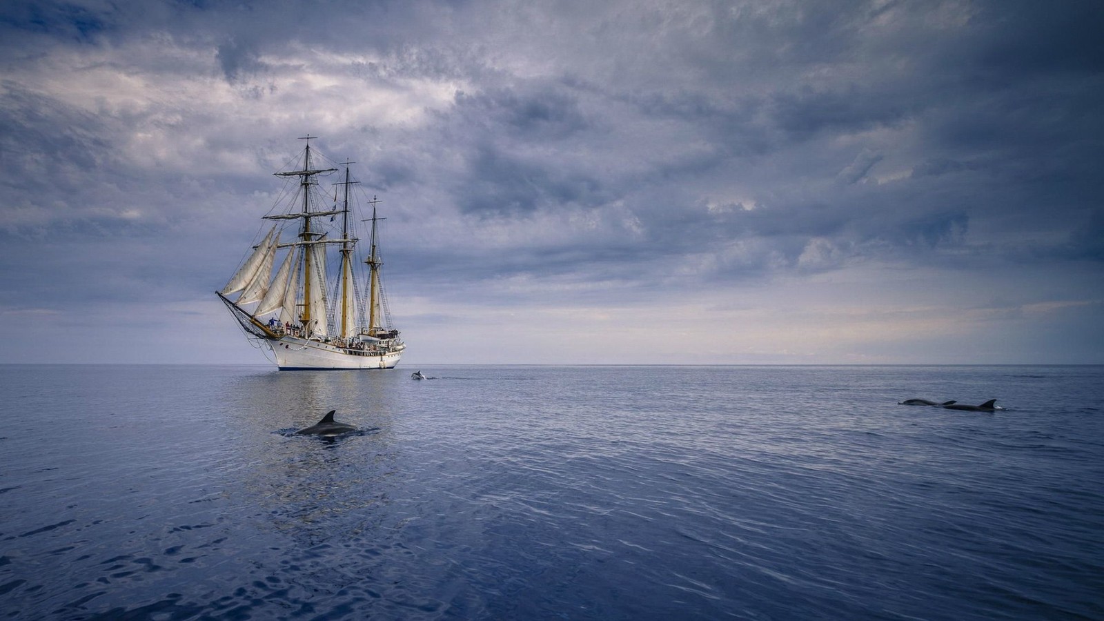 Un voilier et un dauphin dans l'océan sous un ciel nuageux (voilier, voile, navire, brigantin, brigade)