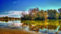 reflexion, natur, wasser, baum, bank