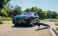 Rolls Royce Ghost 2022 con un pavo real en un entorno de jardín sereno