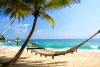 Ruhiger tropischer Strand mit Hängematte unter Palmen