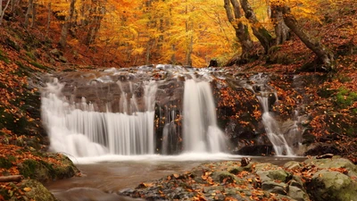 водопад, природа, осень, водоем, вода