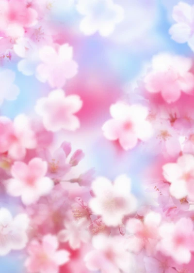 Soft Pink Cherry Blossom Petals Against a Blue Sky