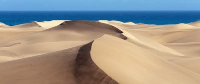 Sables du Sahara : Un paysage de dunes serein rencontrant la mer