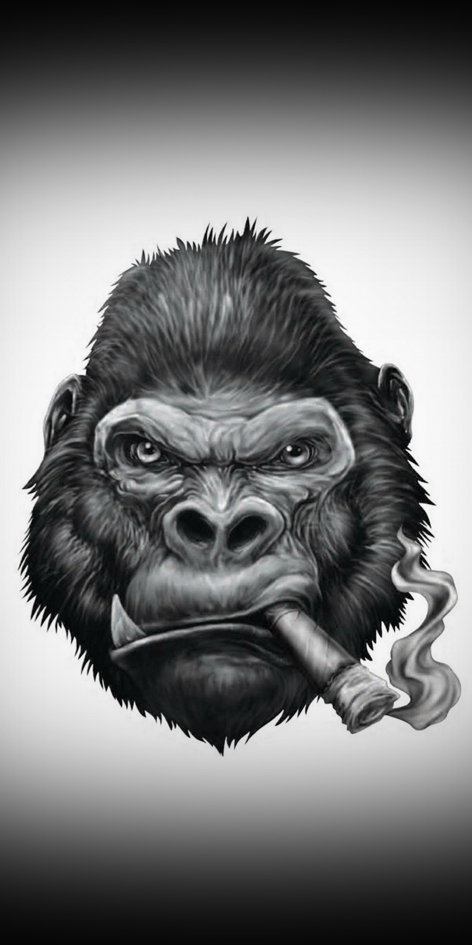 A drawing of a gorilla smoking a cigarette with a cigarette in its mouth (funky, monkey)