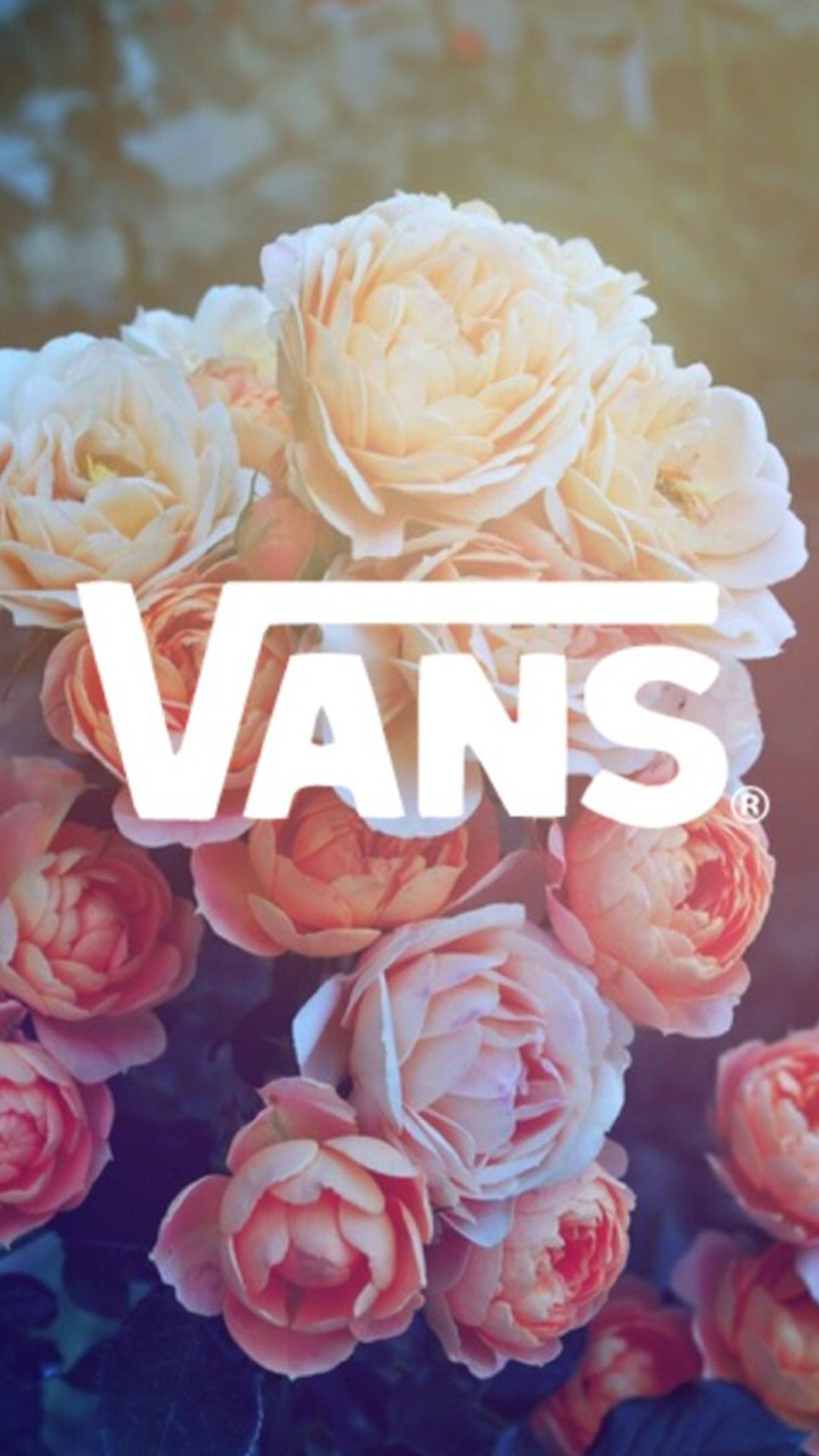 Logo de vans con flores de fondo (flores, rojo, vans, blanco)