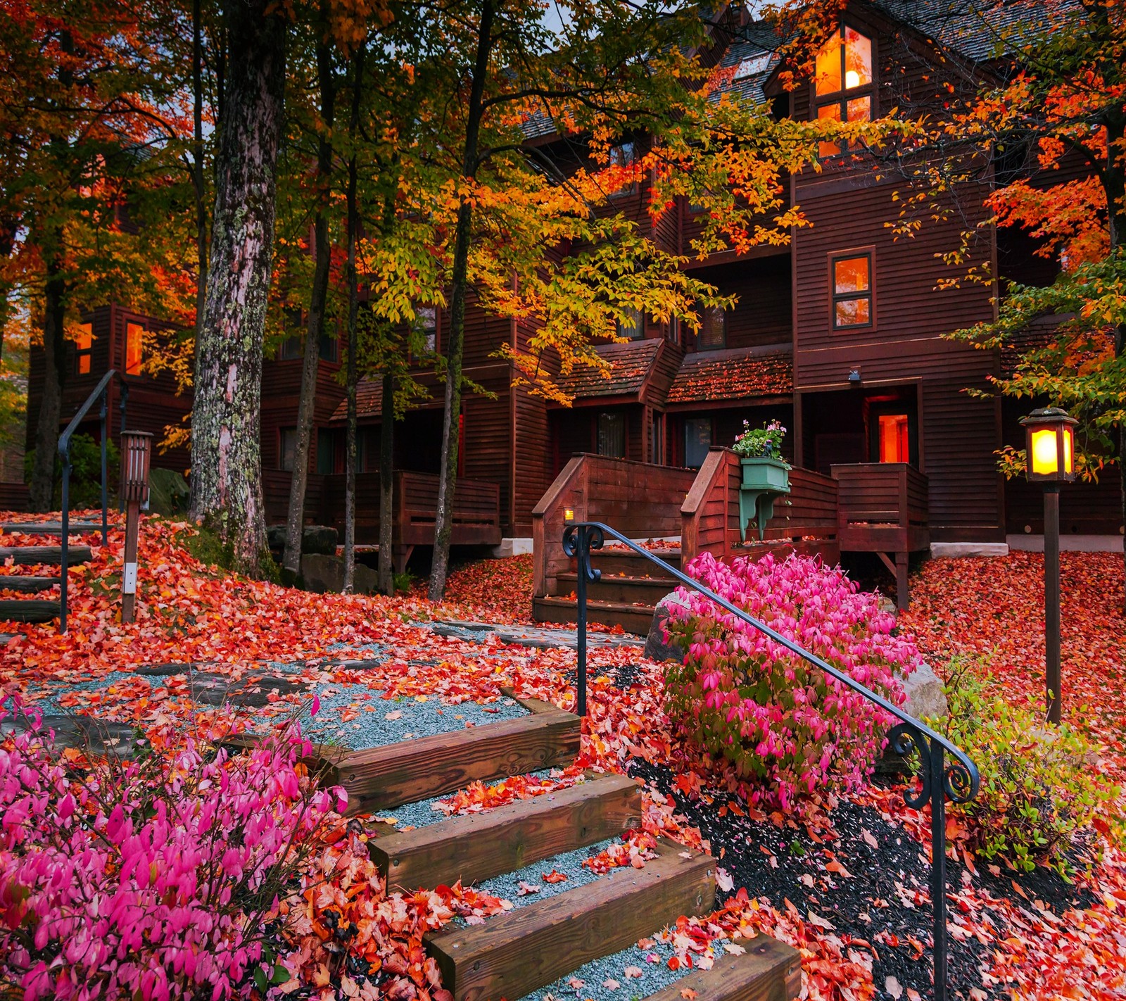 A close up of a wooden house with a staircase leading to it (autumn, fall, leaf, leaves, season)