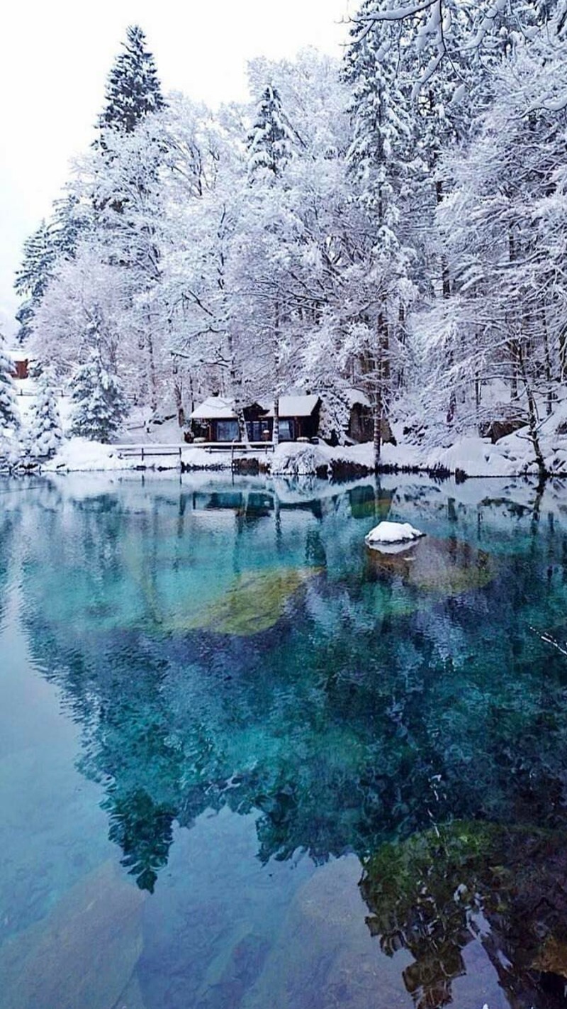 Заснеженные деревья вдоль берега озера с лодкой в воде (озеро, пейзаж, природа, снег, деревья)